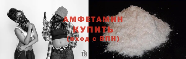 шишки Белоозёрский