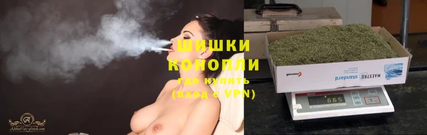 шишки Белоозёрский