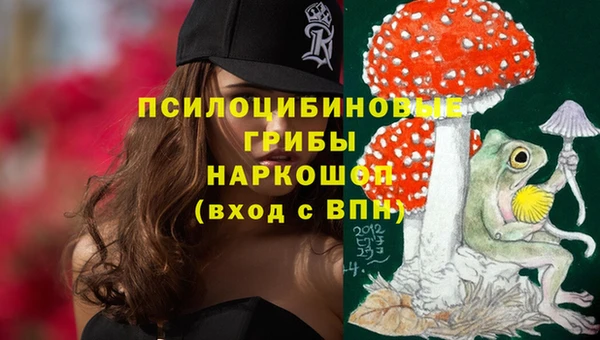 Альфа ПВП Беломорск
