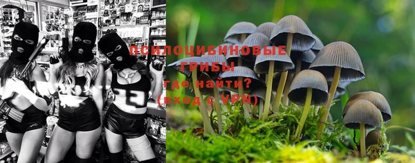 шишки Белоозёрский