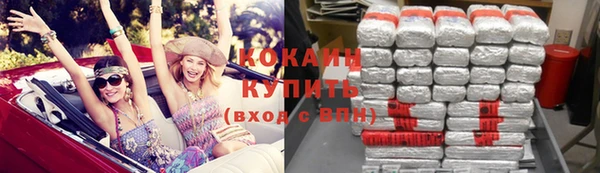 шишки Белоозёрский