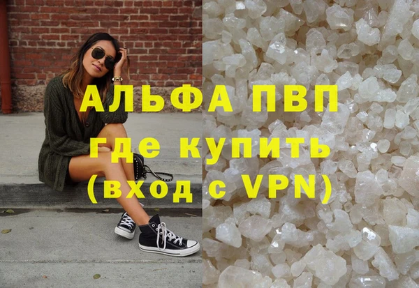 шишки Белоозёрский