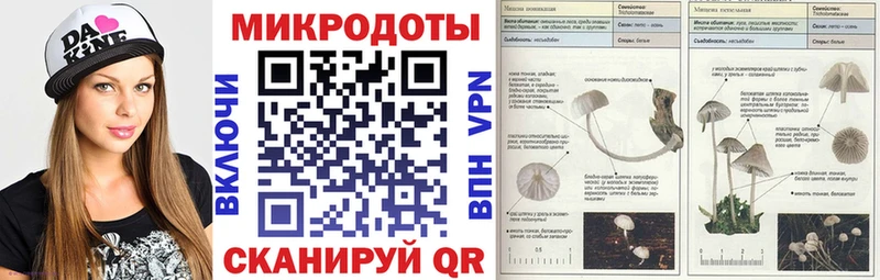 купить закладку Мезень MEGA зеркало Галлюциногенные грибы Psilocybe